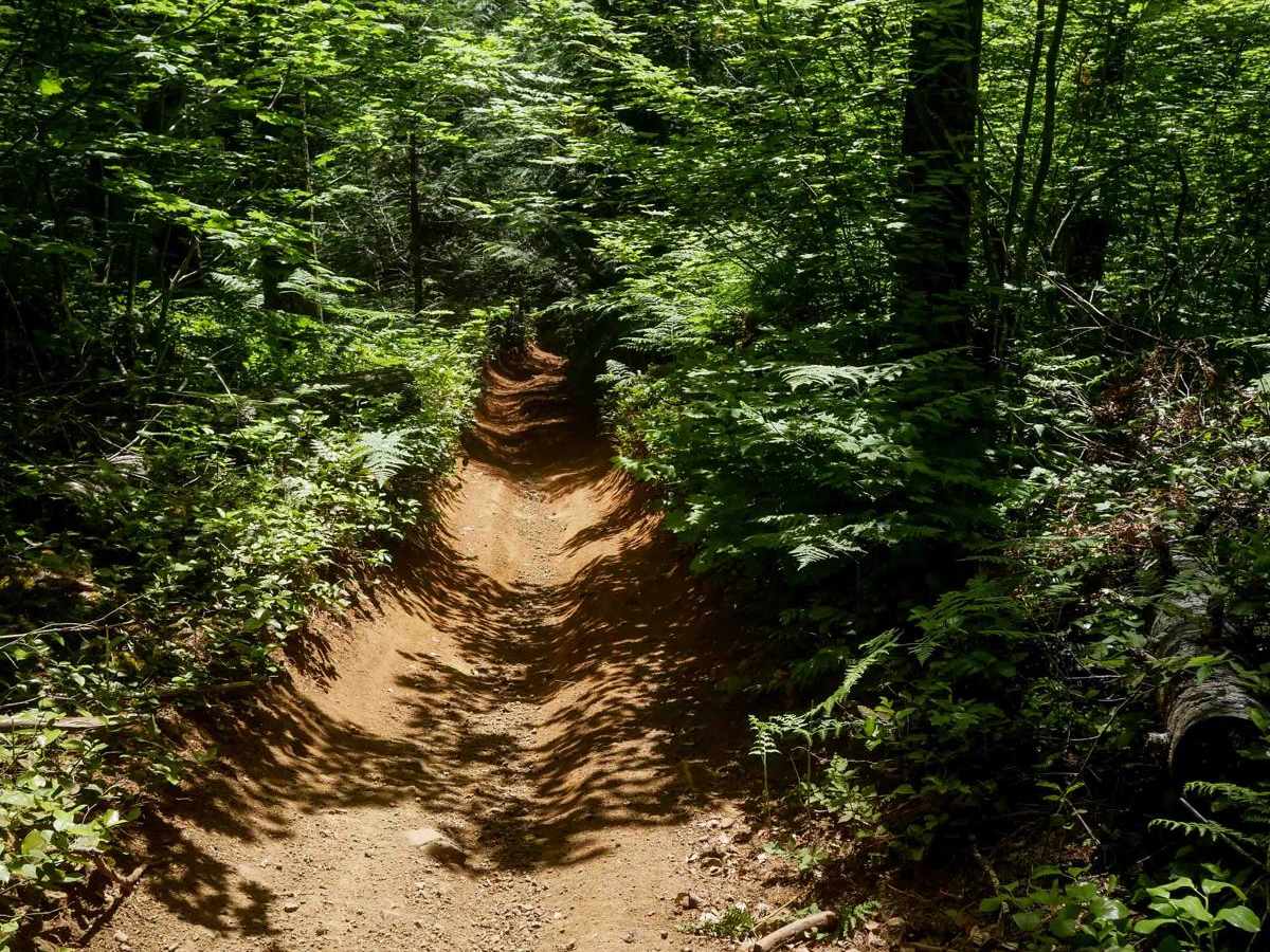 K Thumb #51 trail photo