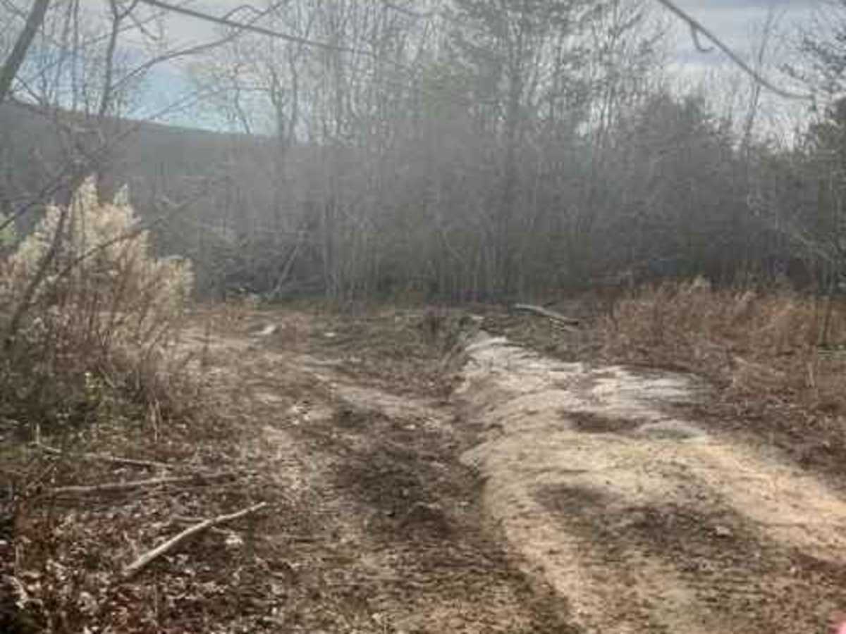 Coalmont Trail 15 photo 3