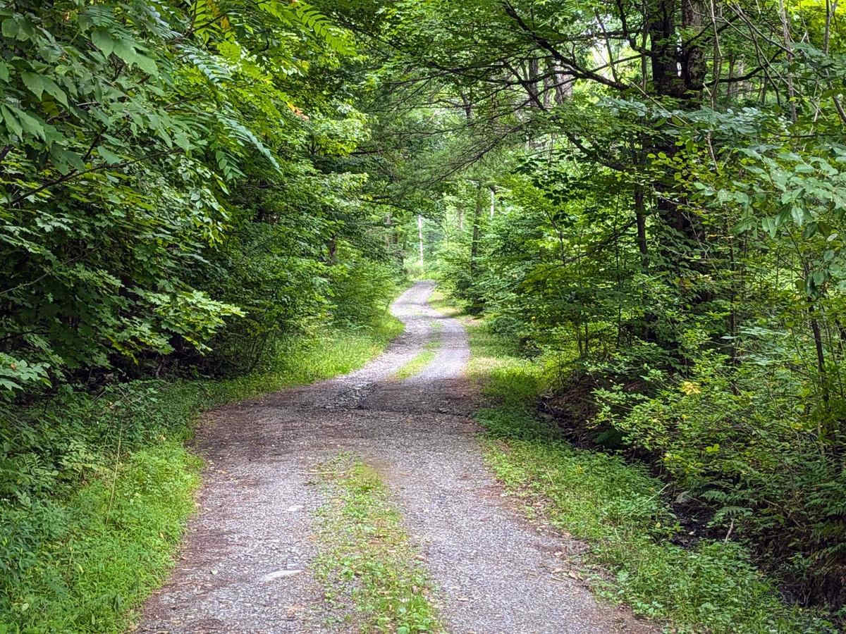 Old Macedonia Road photo 4