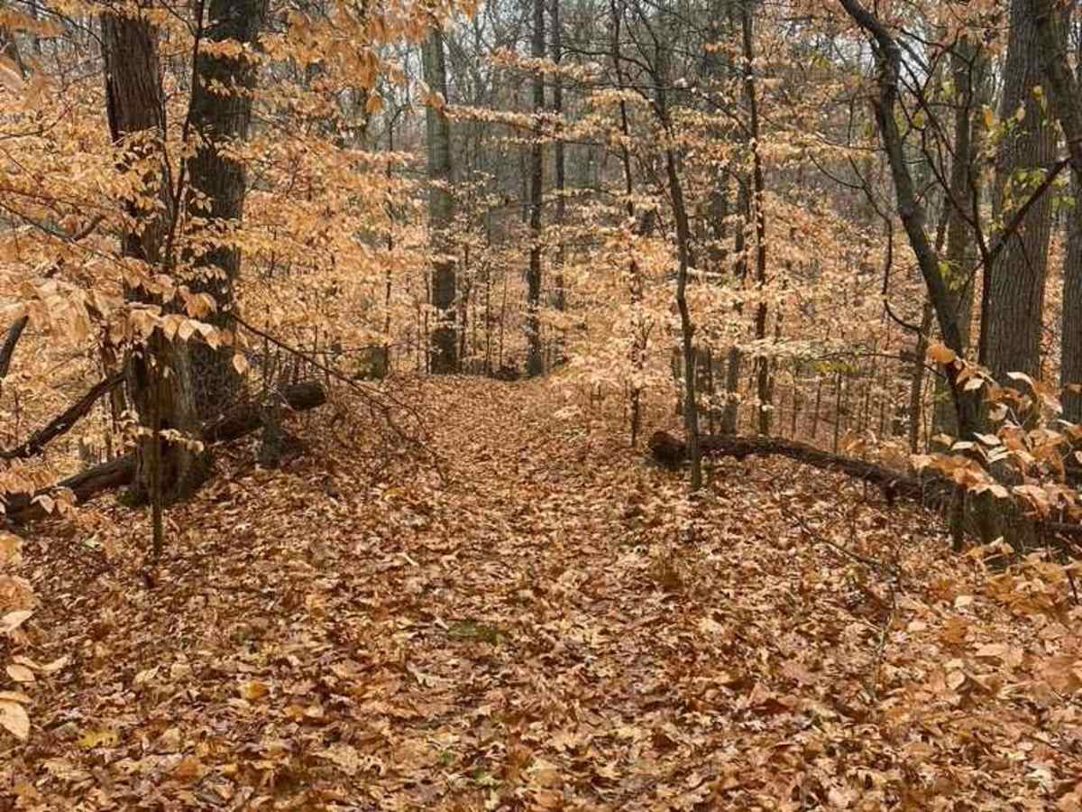 N Hamburg Hill Spur photo 4