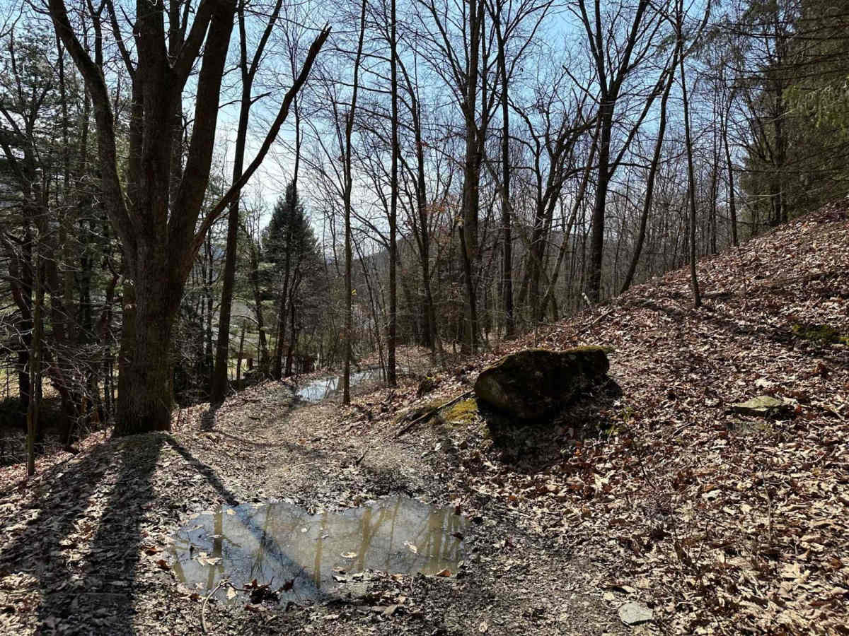 Ashland 105 photo 3