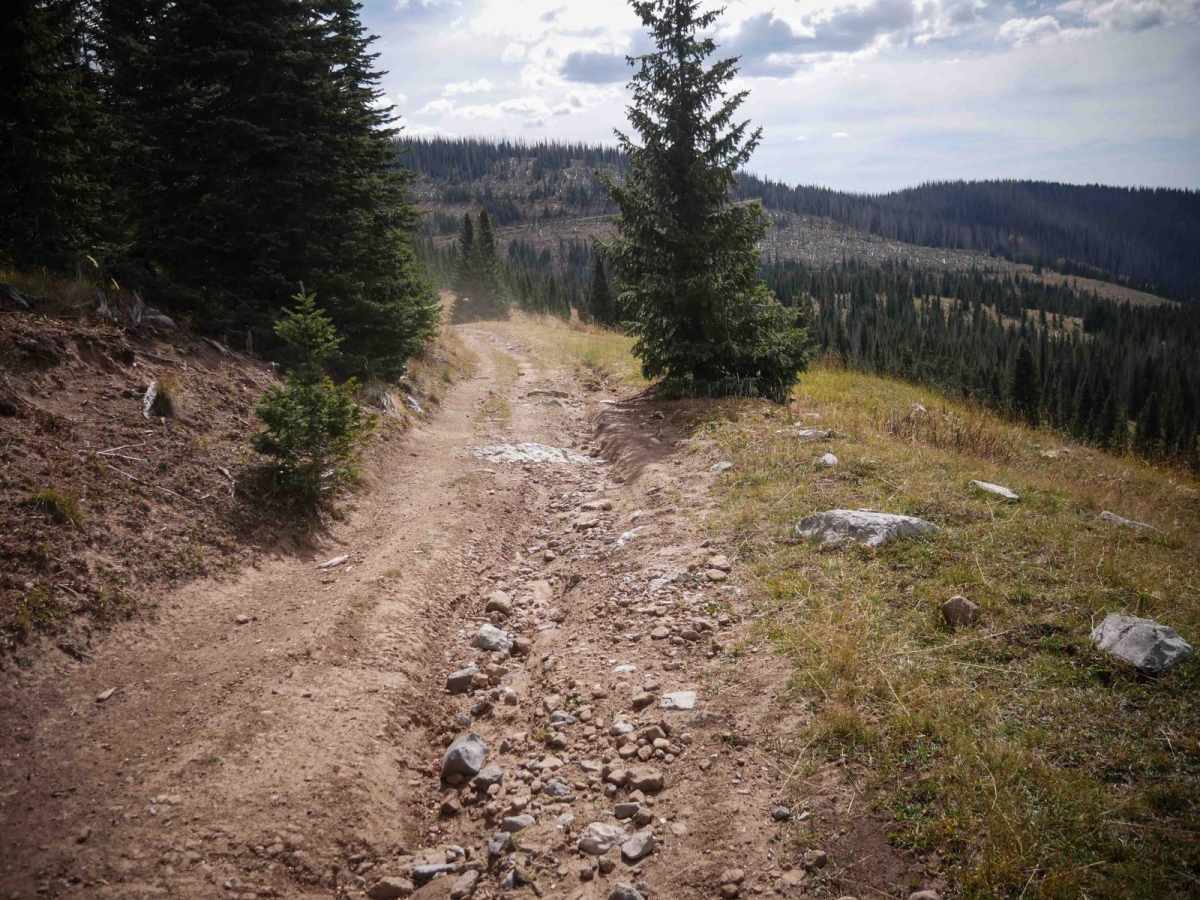 Vallecito View photo 2
