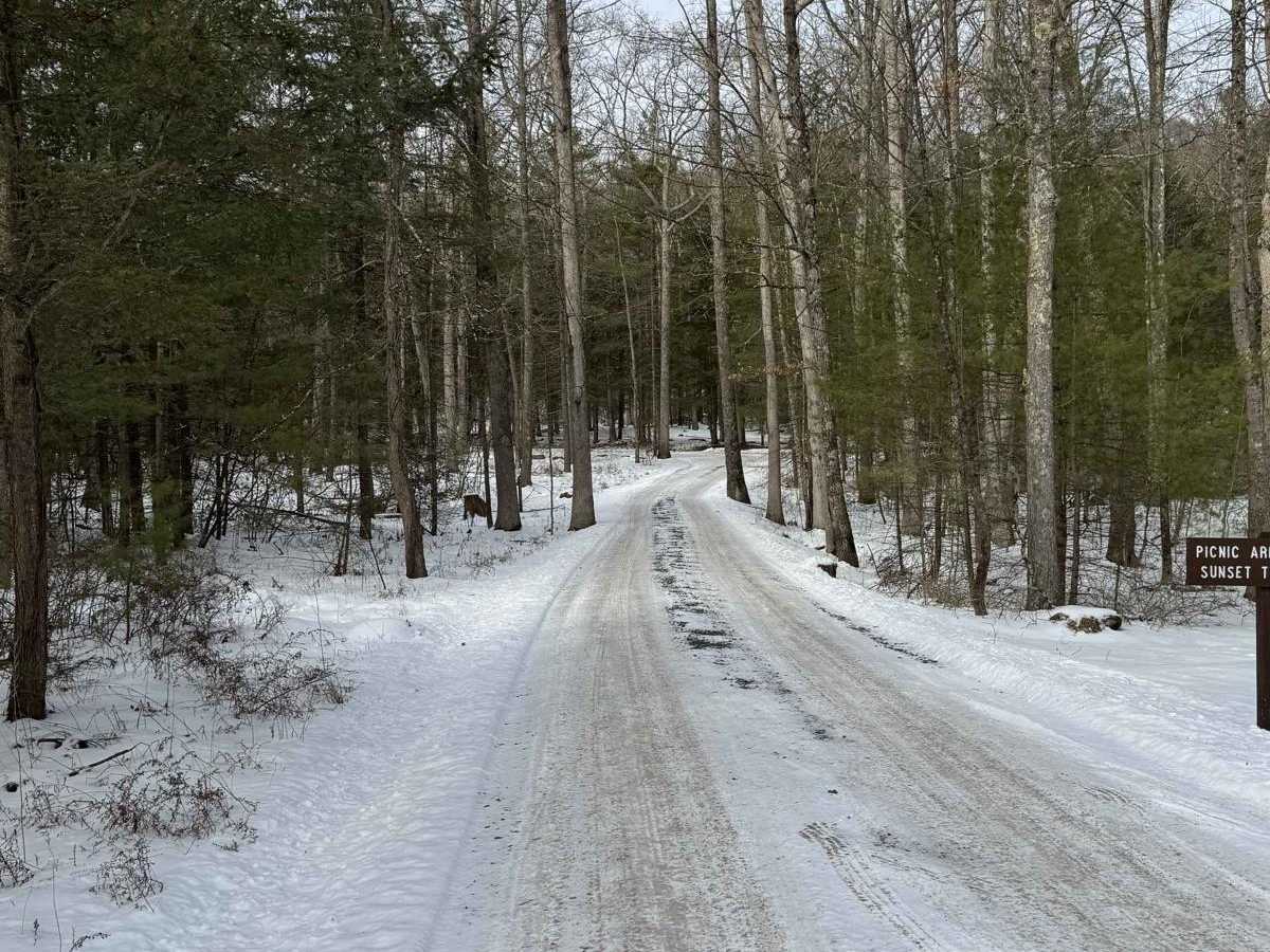 Winklebleck Road photo 3