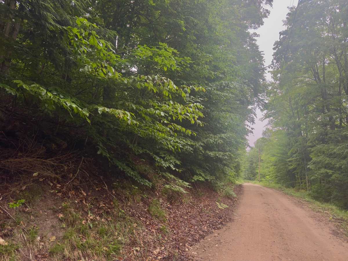 Cascade Road photo 5