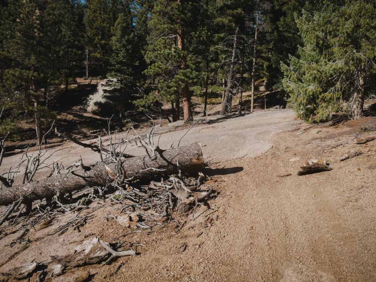 649A Trout Creek Connection ATV Trail photo 4