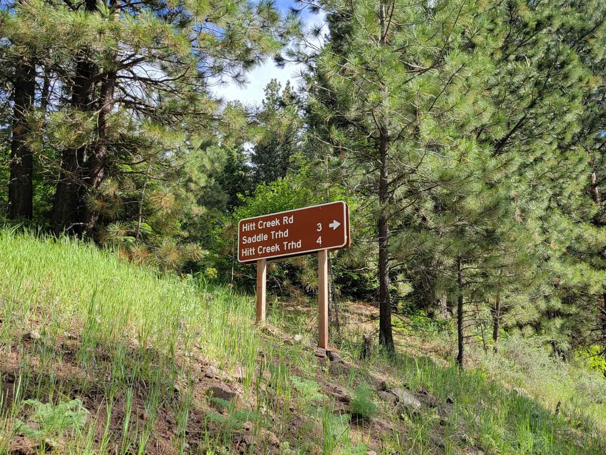 FR 573 - Hitt Creek trail photo