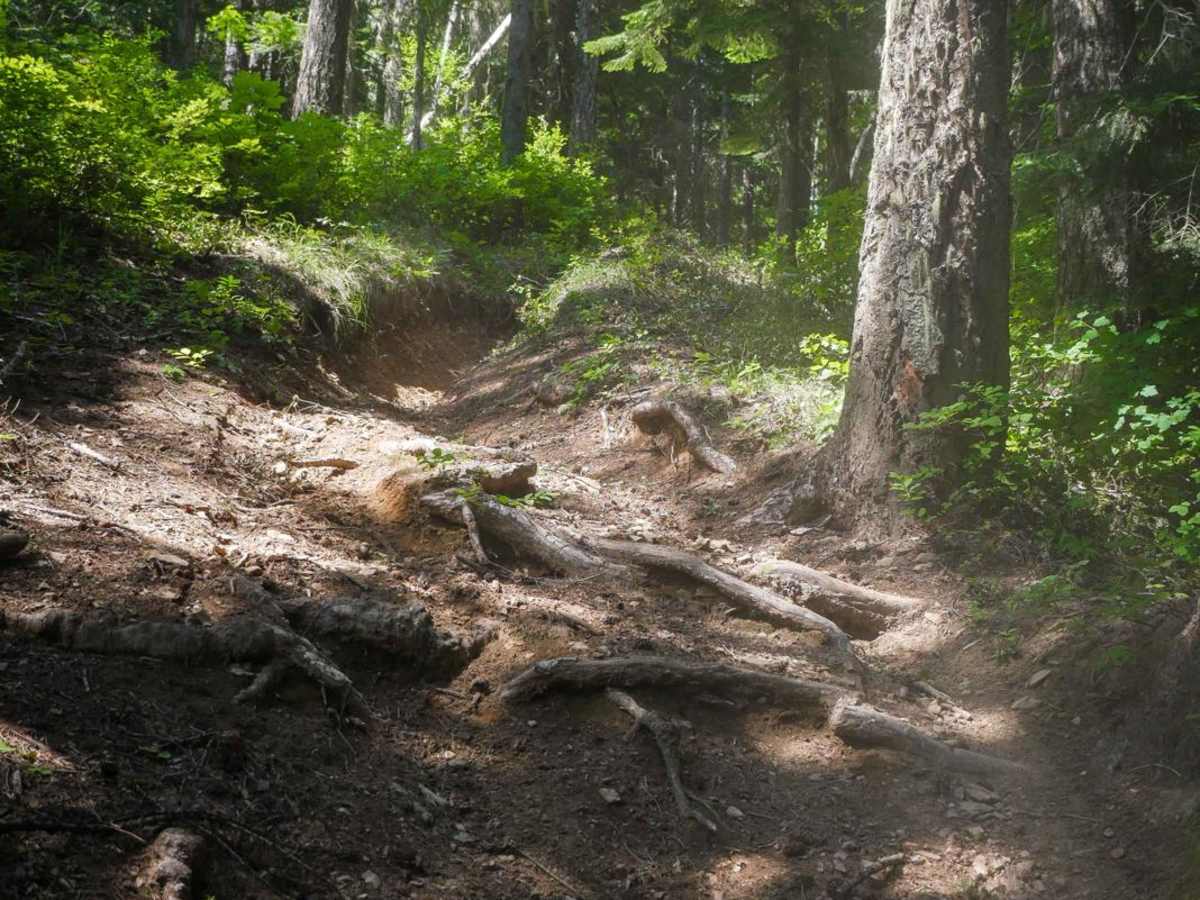 Kyle Creek photo 5