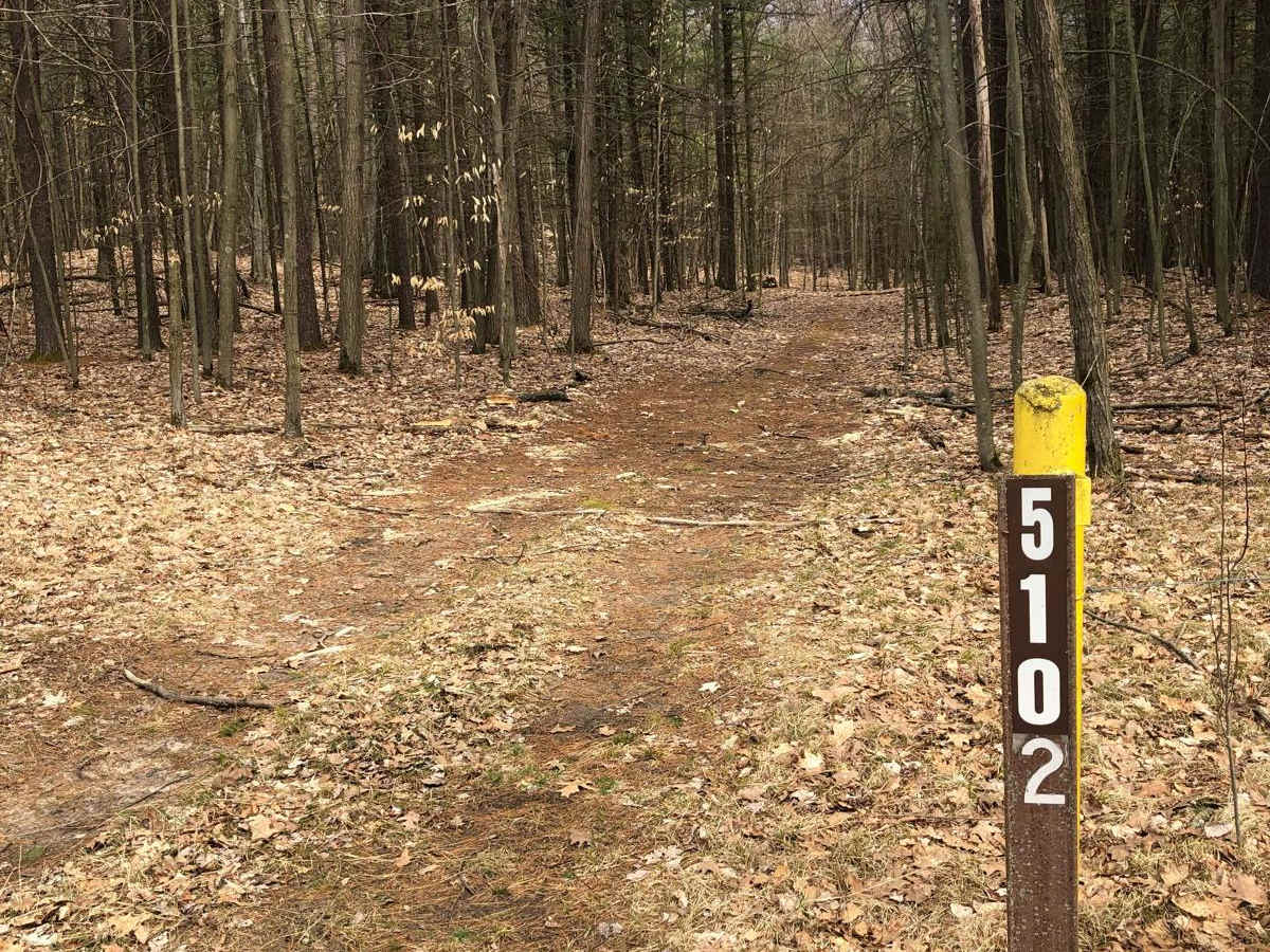 NFS Road 5102 trail photo