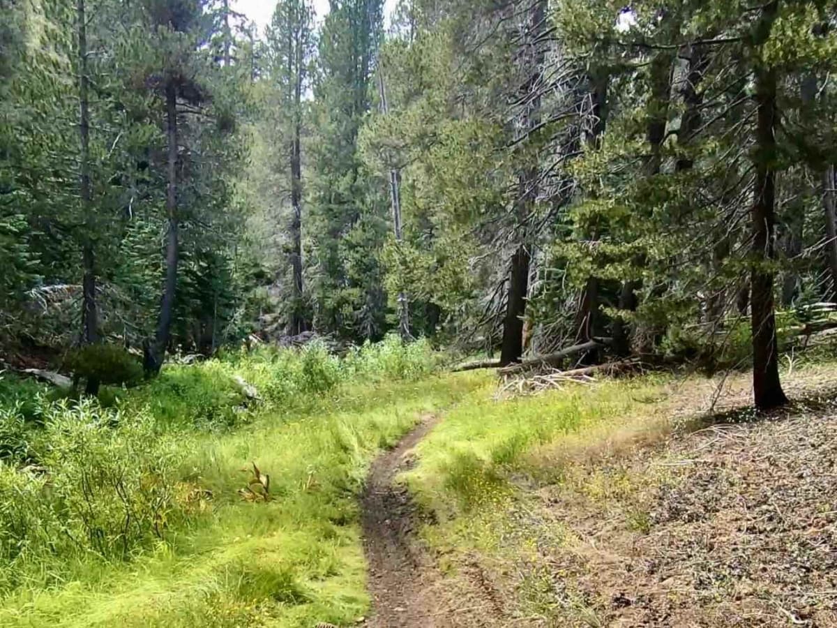 Trout Creek Trail trail photo