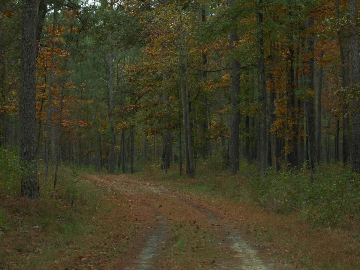 Donnelly WMA PT.3 photo 3