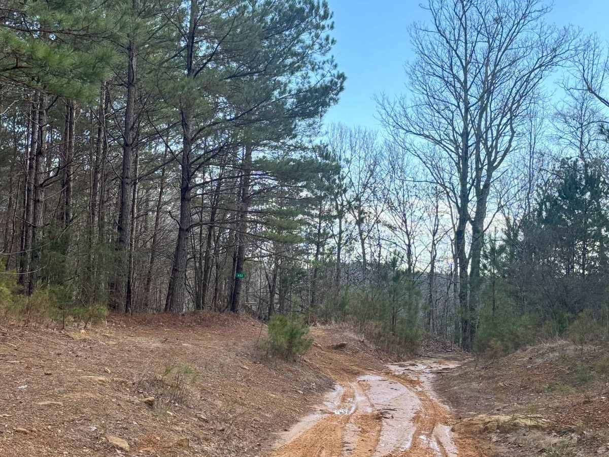 422 trail photo