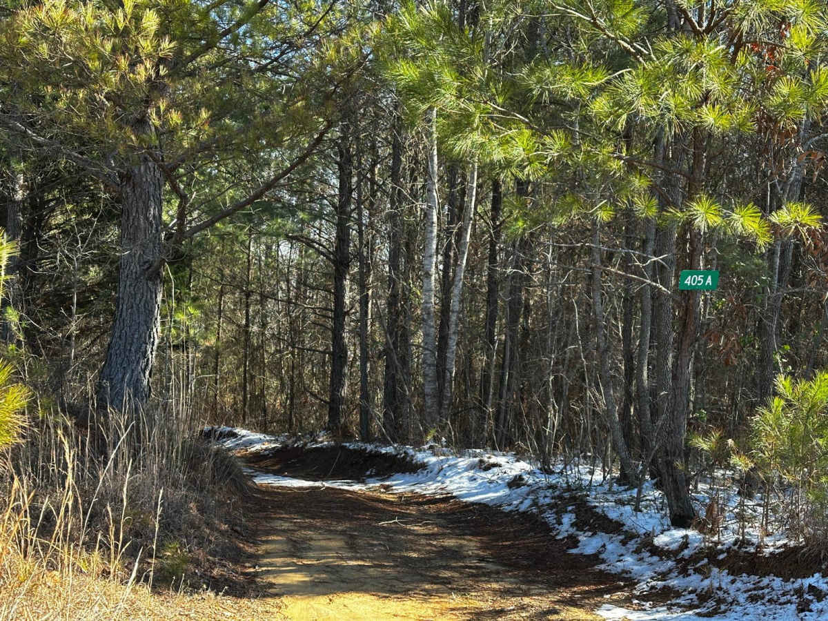 405A trail photo
