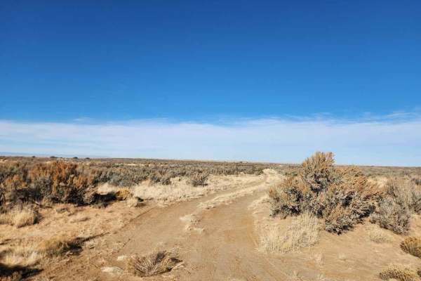 Bisti Badlands Overlook
