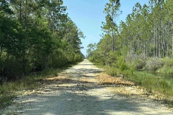 North Road