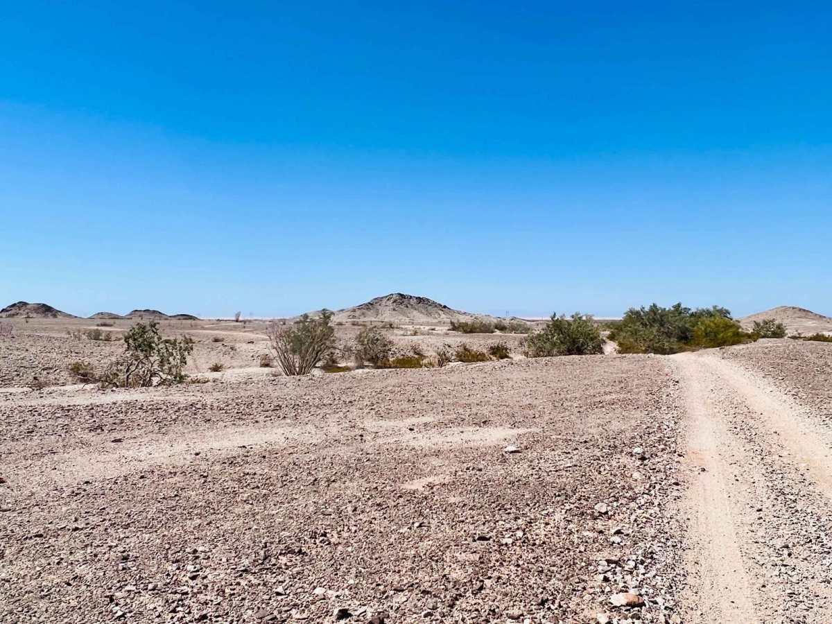 Desert Loop 660 photo 5