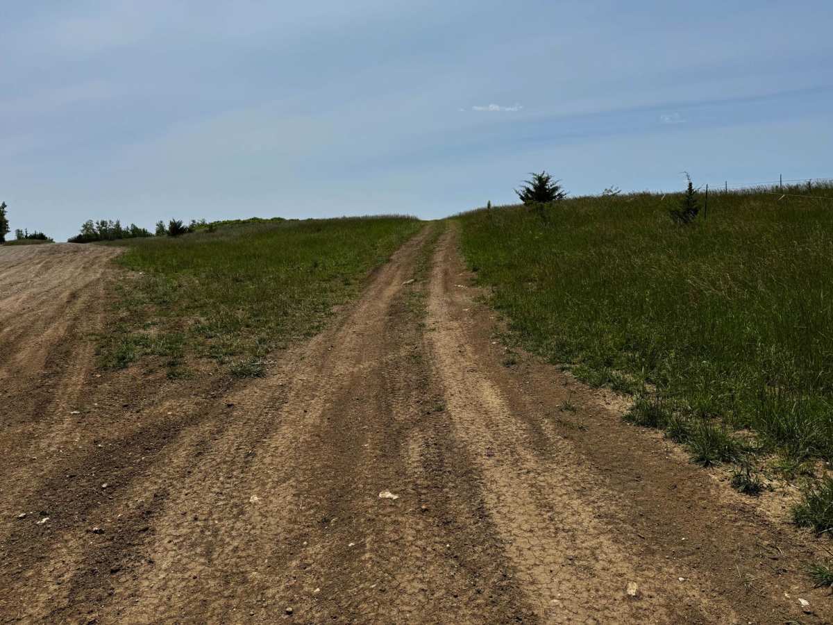 Green 7 Boundary Run trail photo