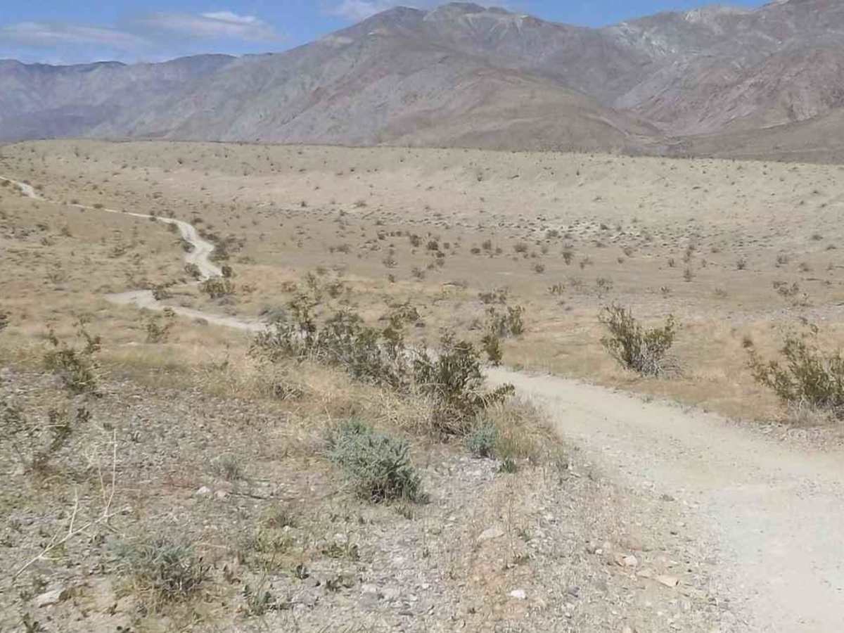 Thimble Trail photo 5