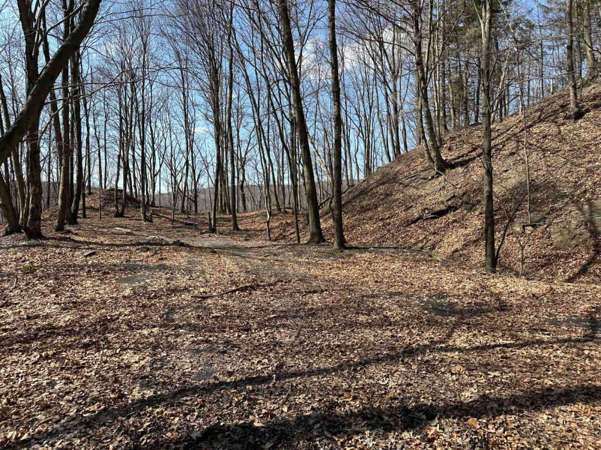 Ashland 25 photo 5