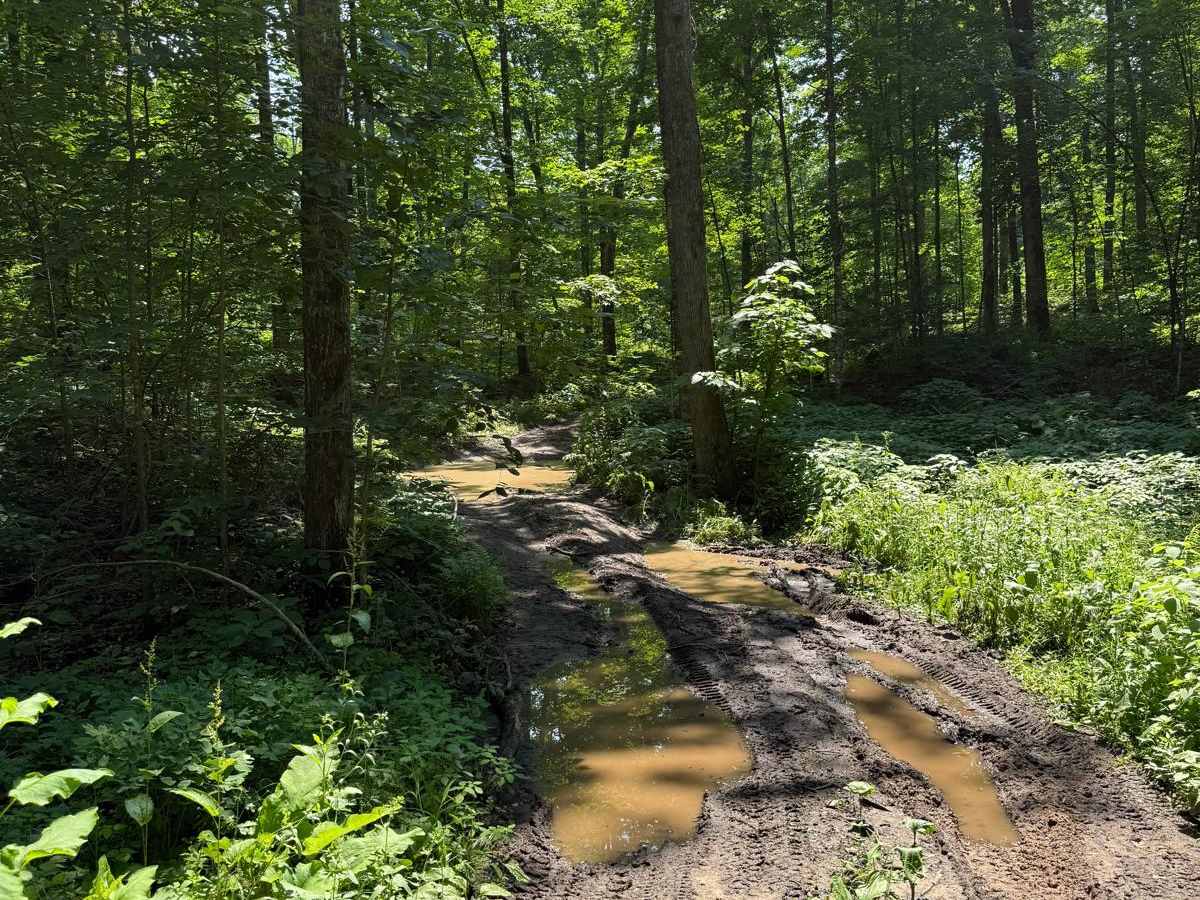 Hemlock Ridge photo 4