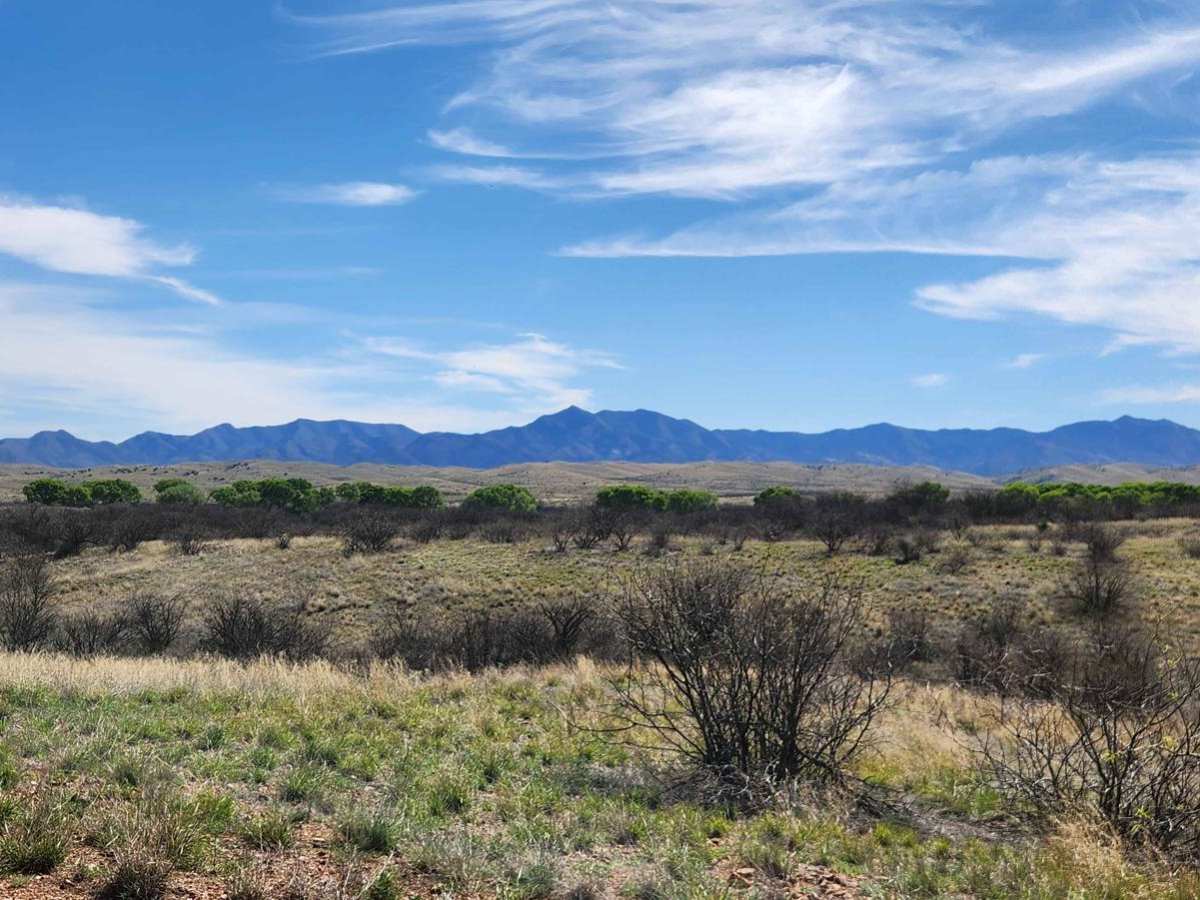 Andrada Tank Loop FR 6905 trail photo