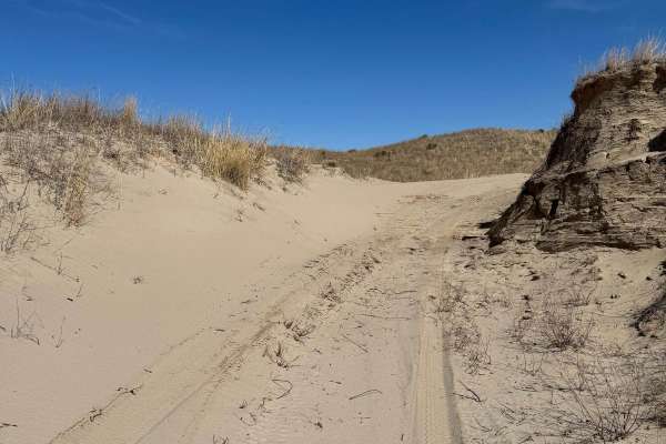 Forest Road 228 - Figard Trail