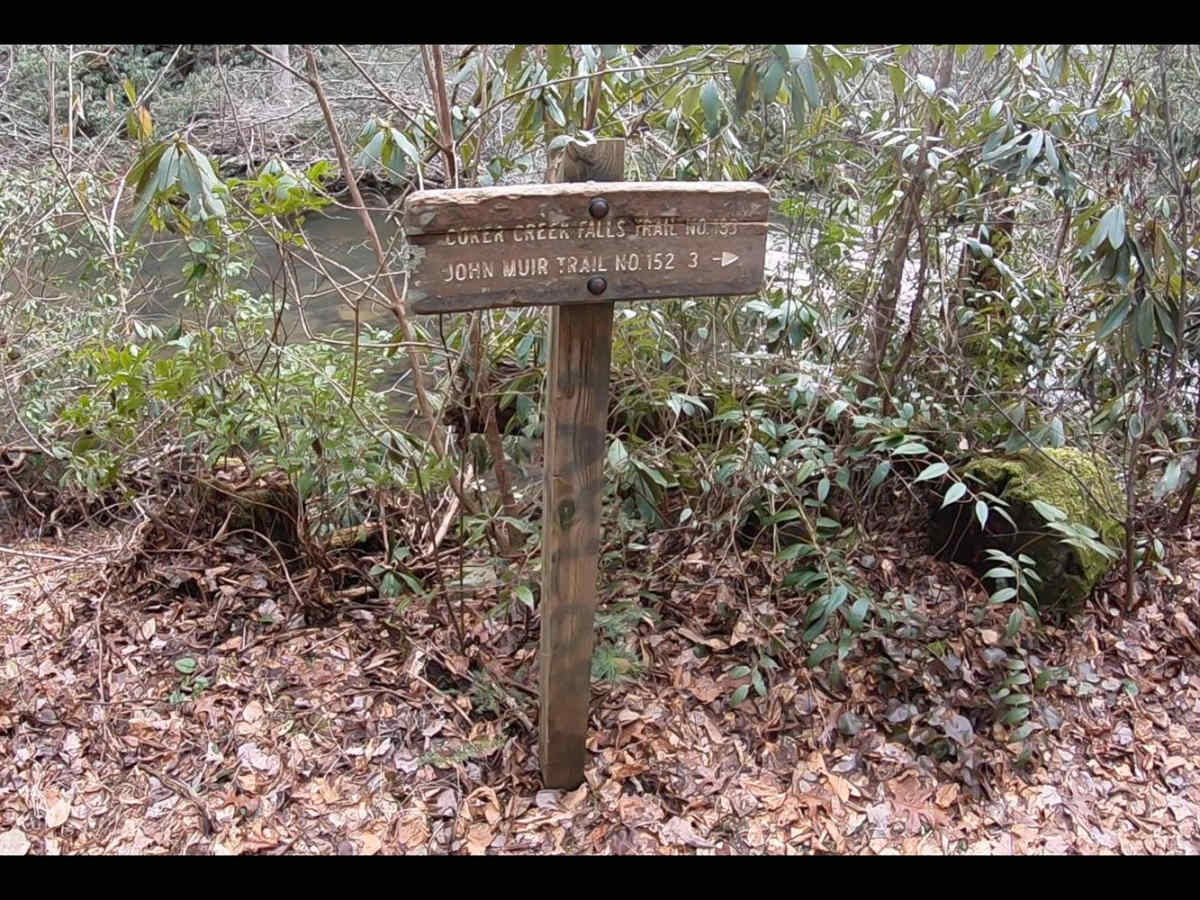 Duckett Ridge FSR #22B trail photo
