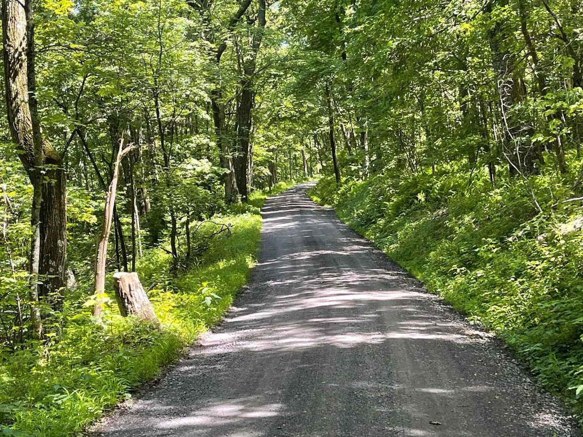 Ramm Road South photo 4