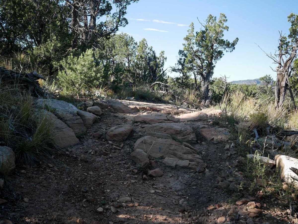 Fred Garza Memorial Trail photo 5