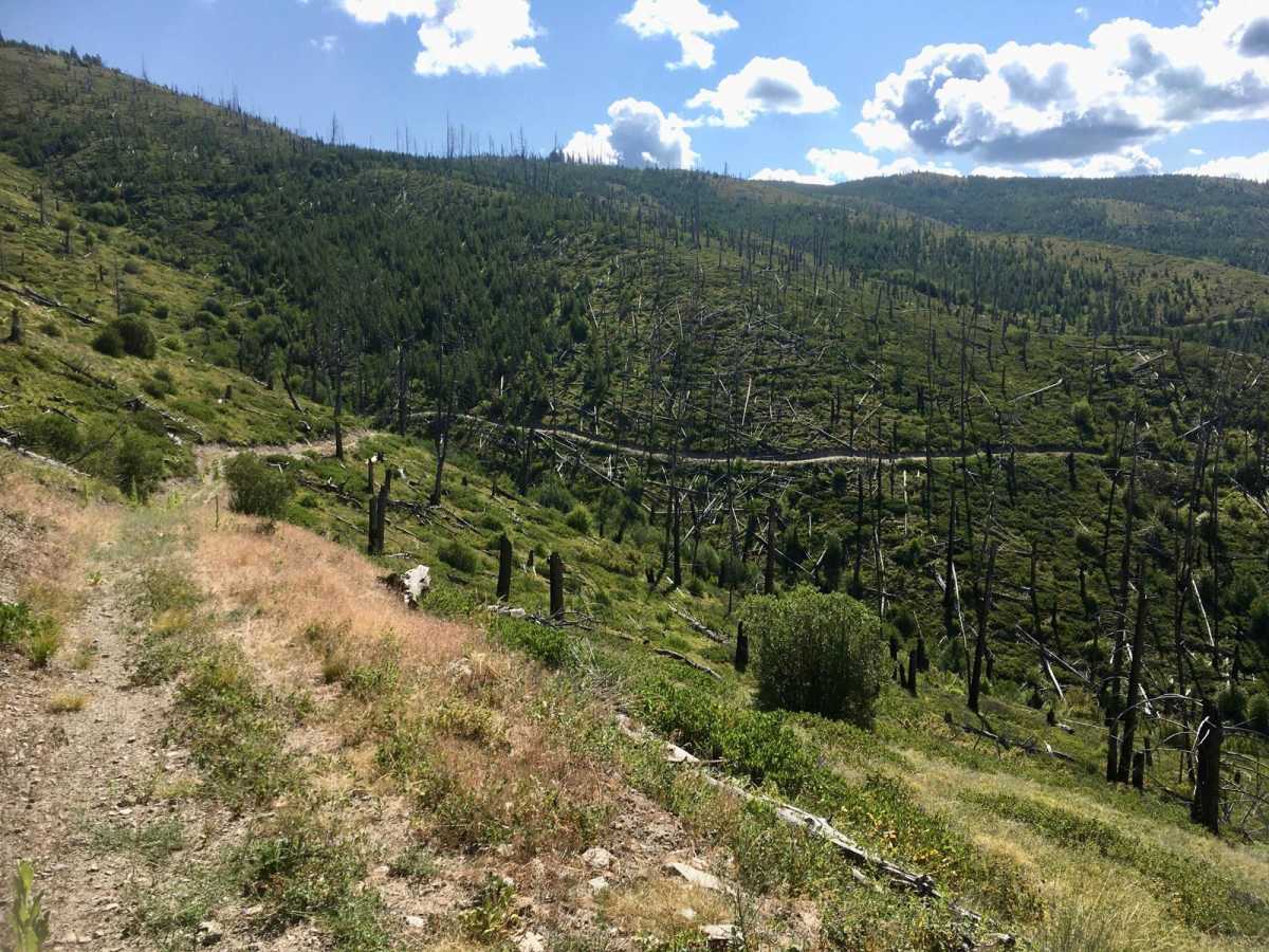 Blacktail ATV Trail photo 5