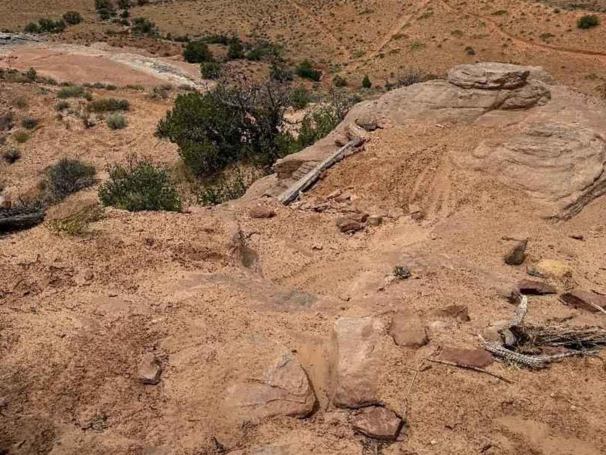 Enduro Loop photo 5