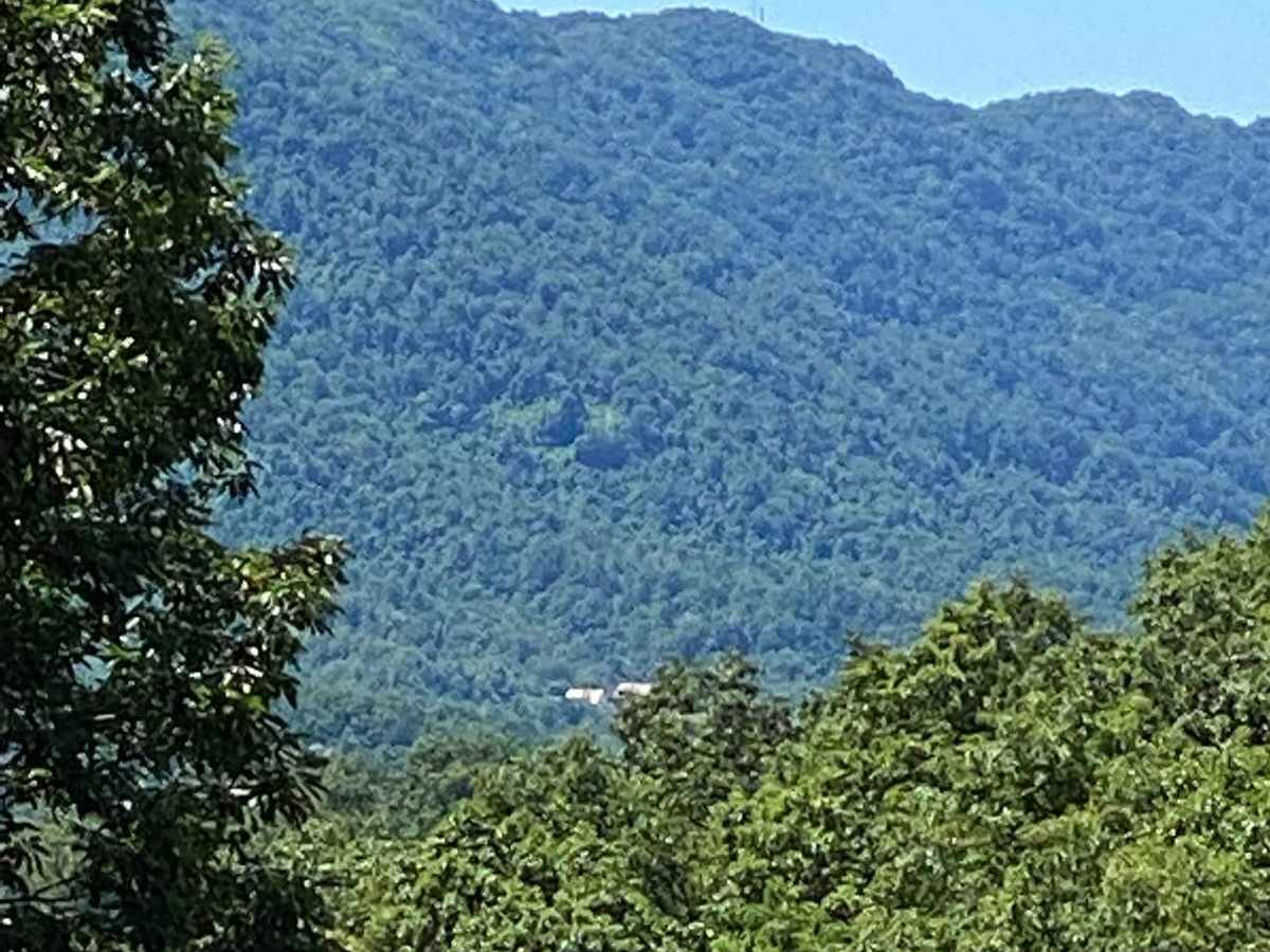 Trail 6 photo 5