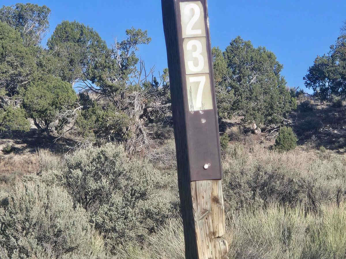 Prospector Trail photo 2