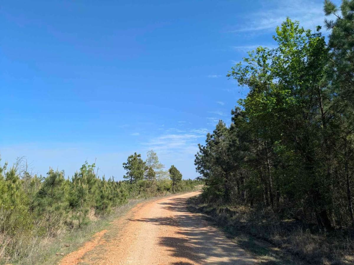 FR 20670 trail photo