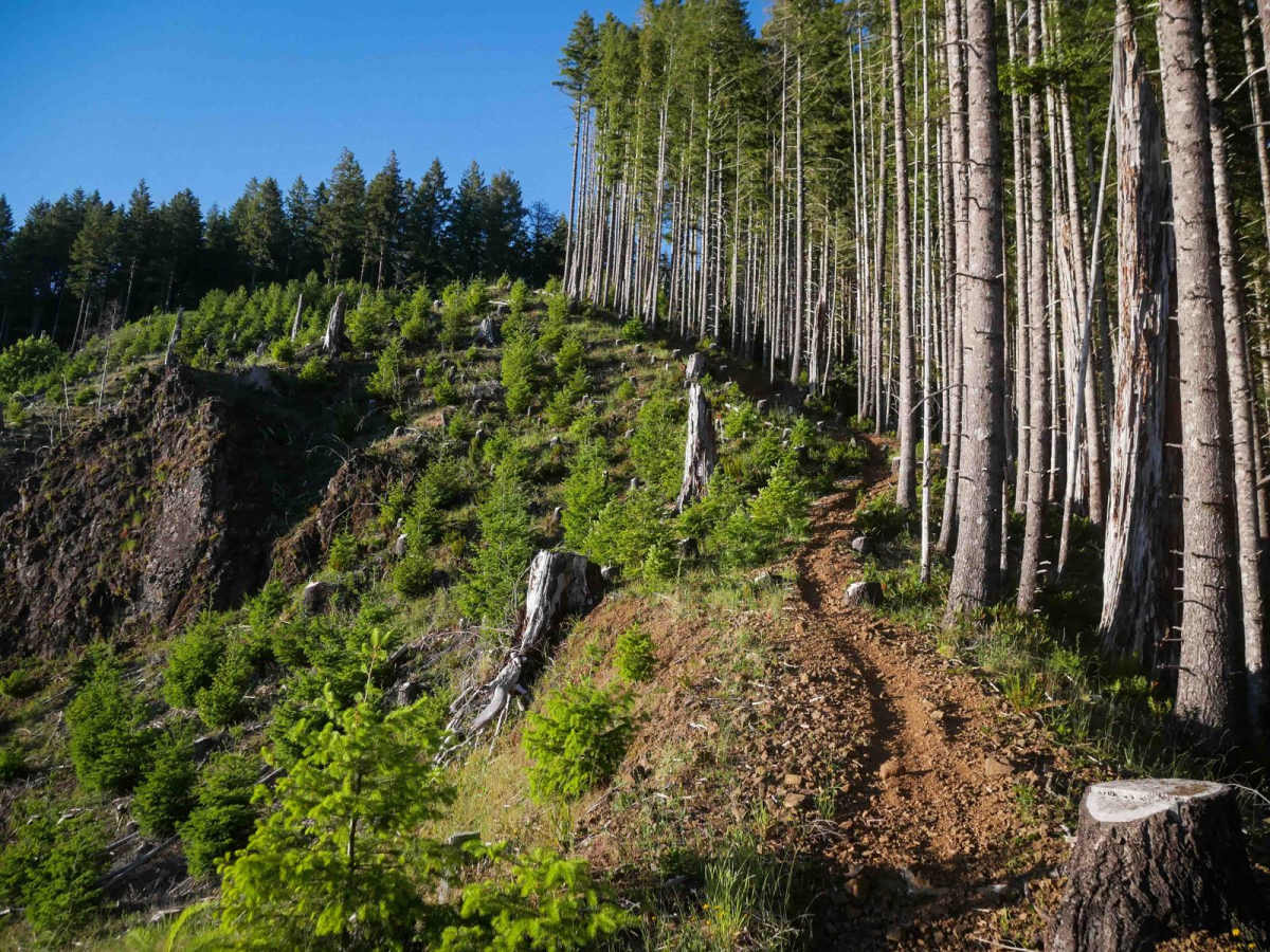 #78 (Extreme) trail photo
