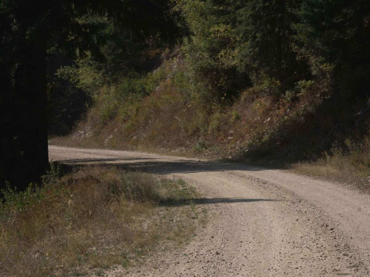 Potter Creek - FS 911 trail photo