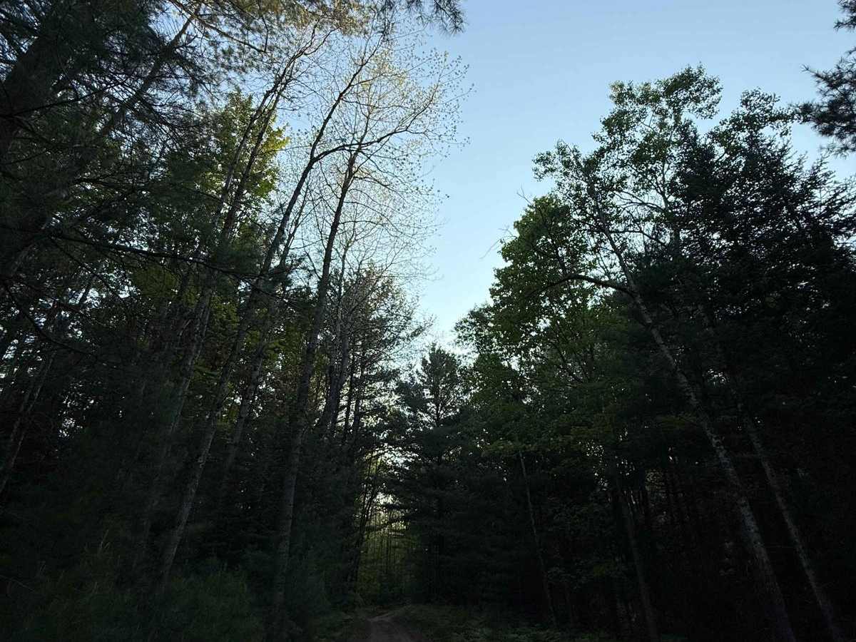 Silver Creek Trail photo 6