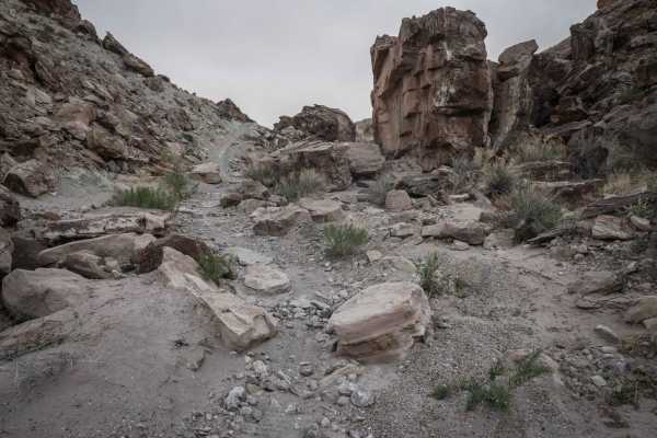 Guys Trail (North)