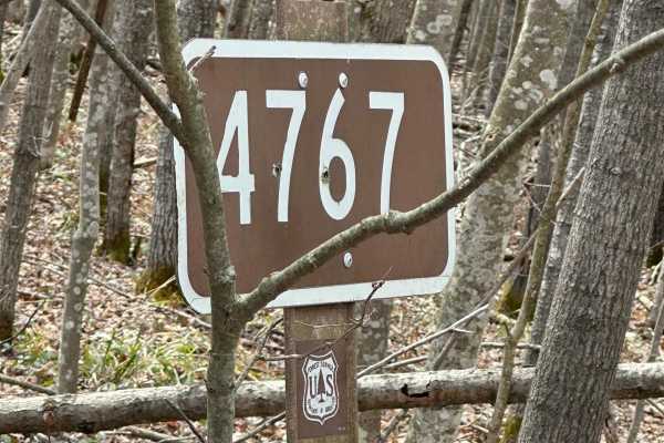 FS 4767