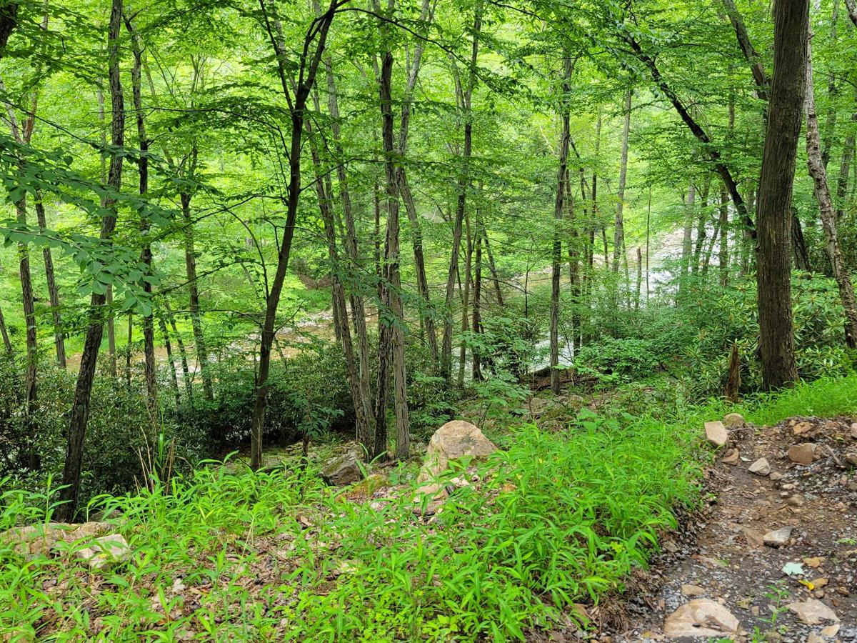 Havice Valley photo 5