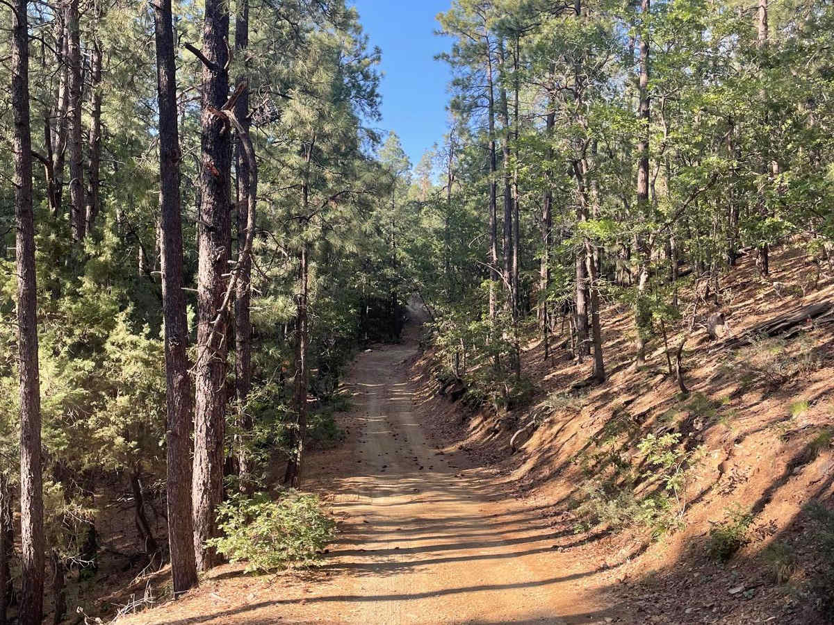 Exit Off Spruce Mountain Road trail photo