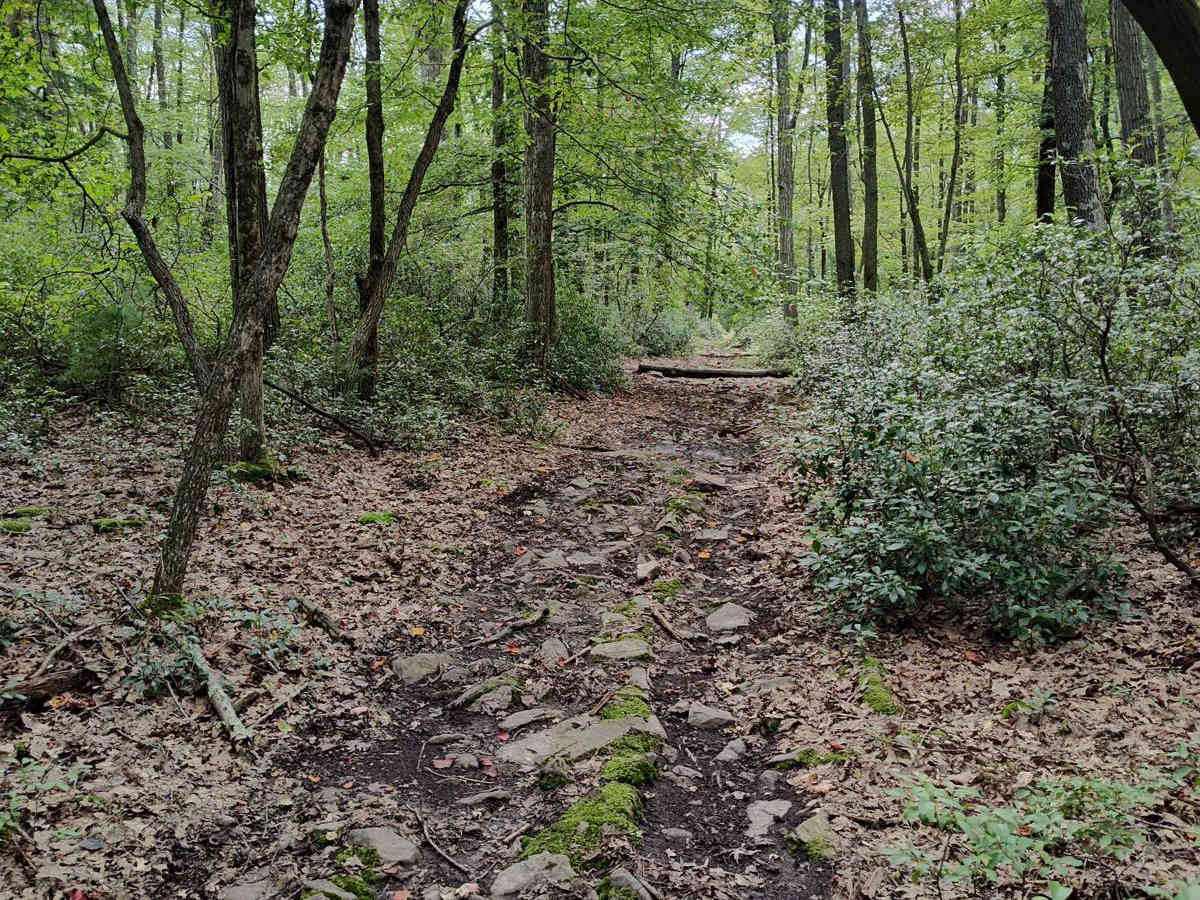 Countyline Single Track photo 4