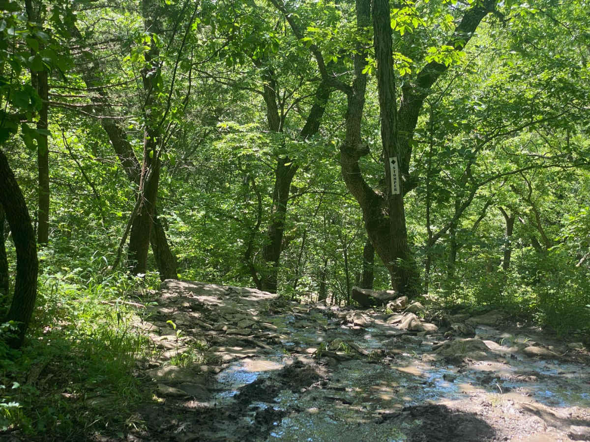 Stomper trail photo