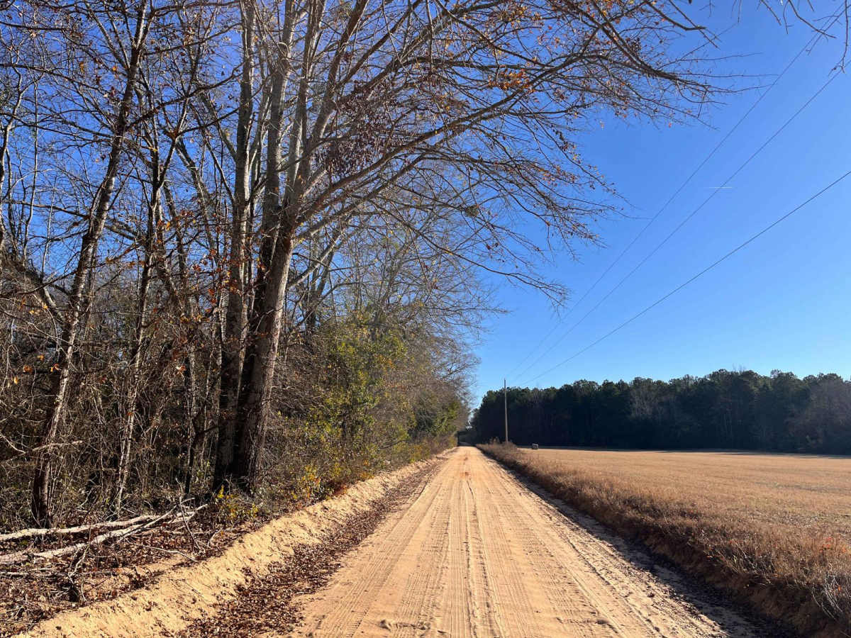 Red Shadow Road photo 2