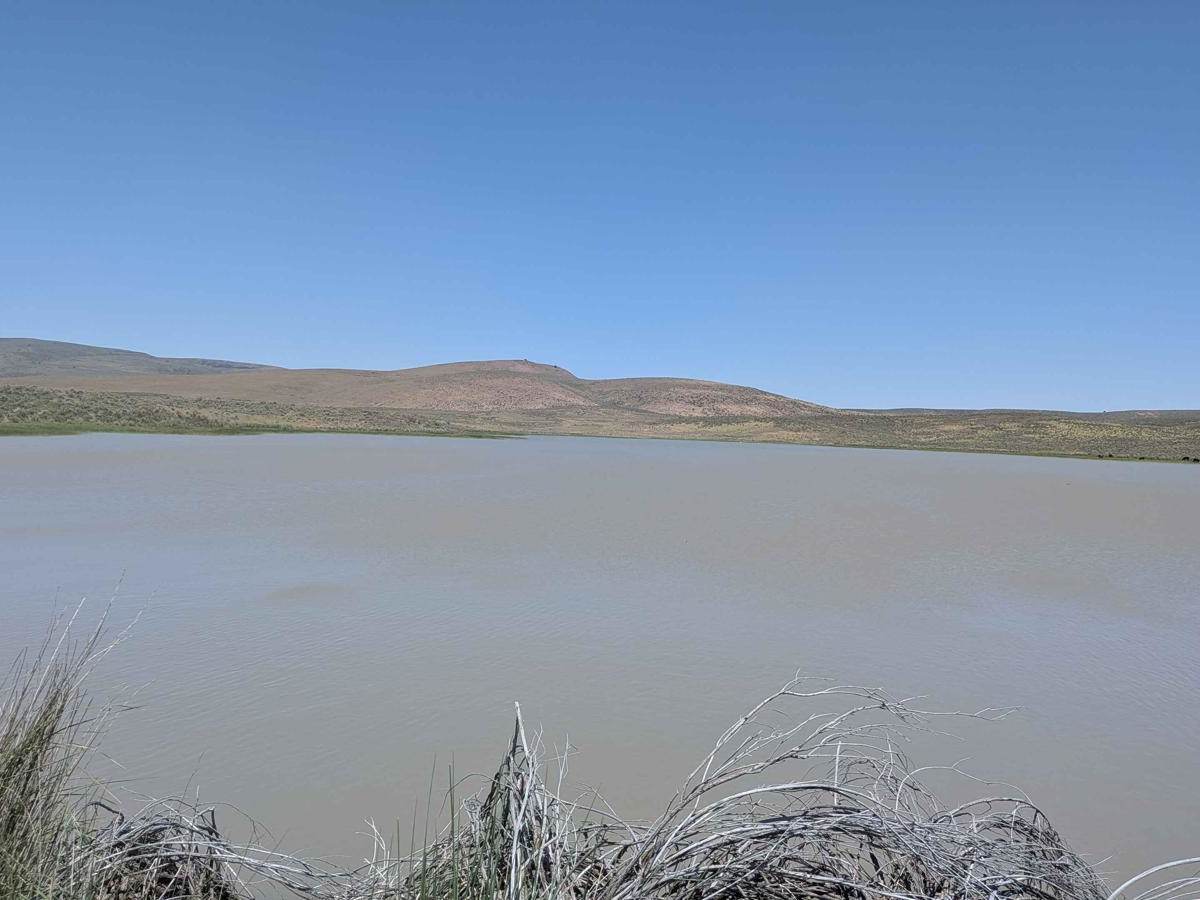 Mahogany Gap Road photo 2