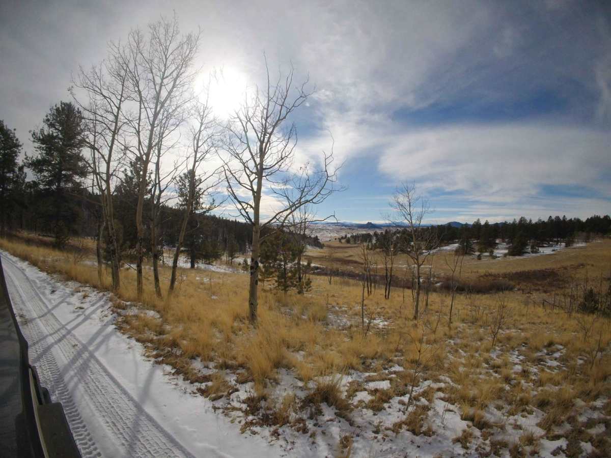 Derbishire Gulch Road - FS 143 photo 4