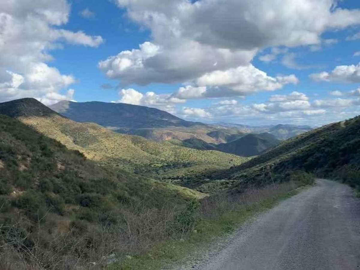Donohoe Loop-Mocogo Ranch Trail photo 2