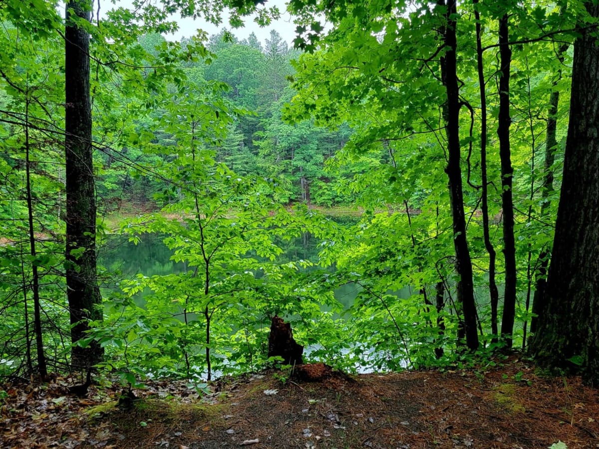 Fishermans Road Trail photo 4