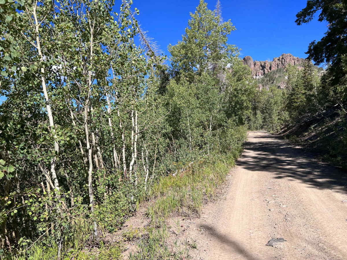Mount Dutton - Cottonwood (30125/30353) photo 3