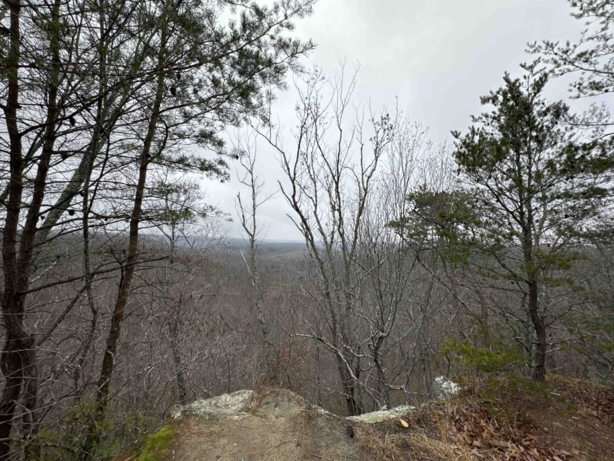Wildcat Road photo 6