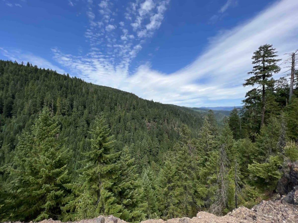 Larison Creek Trailhead Upper 1202-101 photo 6